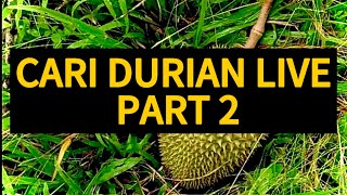 CARI DURIAN LIVE PART 2 durian musangking viralvideo fyp howto wow malaysia indonesia [upl. by Ita919]