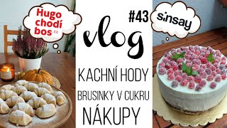 Vlog 43  kachní hody a objevila jsem krásnou a voňavou svíčku 🎄 [upl. by Annitsirhc]