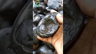 Shaligram sri yoga narsimha shaligram shila  gandaki river shaligram 💐💐shorts short shortsfeed [upl. by Omar714]