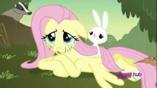 Fluttershy and her animals Scene [upl. by Skiest]