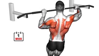 BEST PULLUPS VARIATIONS  Beginner to Advanced [upl. by Delisle]