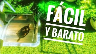 🐢 Cómo hacer ACUARIO para TORTUGAS casero 🐢 [upl. by Simah326]