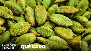 Por qué el cardamomo verde es tan caro  Qué caro  Insider Español [upl. by Rybma]