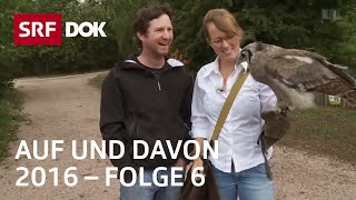 Schweizer Auswanderer  Deutschland Kanada Spanien  Auf und davon 2016 66  Doku  SRF Dok [upl. by Perni]