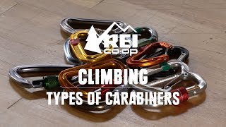 What Are the Different Types of Carabiners  REI [upl. by Ginsburg]