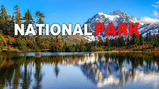 10 Most Beautiful National Park In The USA [upl. by Lokim533]