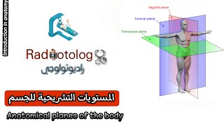 المستويات التشريحية للجسم Anatomical planes of the body [upl. by Ellicec]