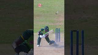 Malinga bowling  flying bails  😍  GT20 Canada  Montreal Tigers [upl. by Bogosian]