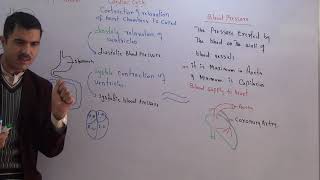 Pulmonary and systemic circulation blood supply to liver and coronary arteries [upl. by Gemina]