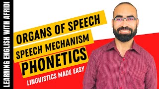 The Organs of Speech in Phonetics A Detailed Guide [upl. by Haidabo923]