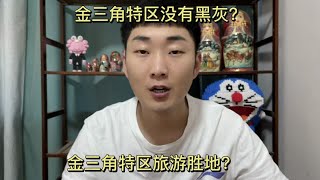 洗白金三角特区？最近特区洗地的人员还挺多的！是在看不下去了！ [upl. by Westhead763]