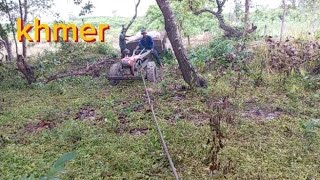 collected cassava from cashew farm lockedkhmerkubotalife [upl. by Kaden]