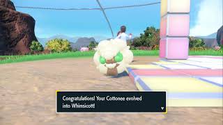 How to evolve Cottonee into Whimsicott in Pokémon Scarlet and Violet The Indigo Disk [upl. by Oivalf119]