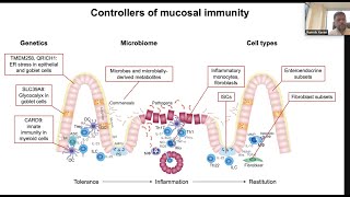 Controllers of mucosal immunity by Dr Ramnik Xavier [upl. by Orv]