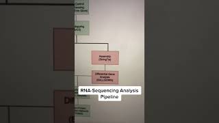 RNA Sequencing Analysis Pipeline [upl. by Einned]