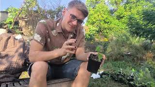 Pflanzen Unboxing 01 I Meine Traumpflanzen ziehen in meinen Garten [upl. by Primaveria]