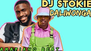 DJ stokie X Daliwonga amapiano beat [upl. by Brooks]