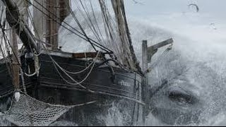 Melville Moby Dick  Summary and Analysis Chapters 4147 [upl. by Ahsini534]