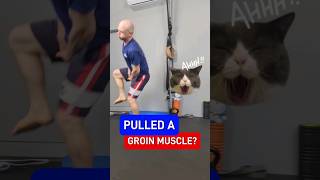 Pulled a groin muscle [upl. by Hart]