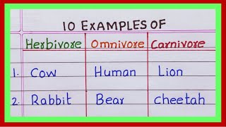 Examples of Herbivores Omnivores Carnivores  5  10 Examples of Herbivores Omnivores Carnivores [upl. by Worra]