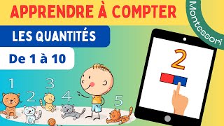 🧮 Apprendre à compter  Les quantités de 1 à 10  Montessori [upl. by Bashuk]