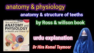 ross amp willasonteeths anatomyhuman body anatomy [upl. by Steffin]