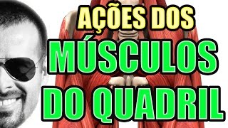 Vídeo Aula 116  Anatomia Humana  Sistema Muscular Ações dos Músculos do Quadril [upl. by Aelaza]