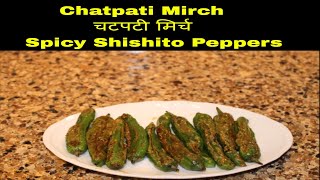 Chatpati Mirch चटपटी मिर्च Spicy Shishito Peppers [upl. by Leta]