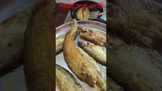 Onusthan barir moto testy pabda pabdamacherrecipe sorseilish bengalifood fishrecipe reels [upl. by Ahsekam]