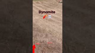 Why Dynamite In The Farming 🧨🤯 shorts [upl. by Akinnej135]