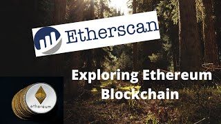 How To Use Etherscan  Everything You Should Know About Etherscan [upl. by Laidlaw]