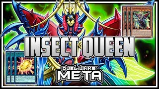 Metamorphosed Insect Queen YuGiOh Duel Links [upl. by Brufsky]