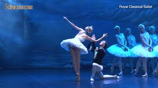 Royal Classical Ballet  Schwanensee 2022 [upl. by Chally]