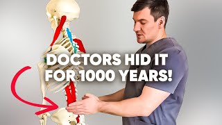 Doctors have been hiding this muscle from you for over 1000 years I uncovered back pain [upl. by Faxen]