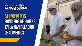 𝗔𝗟𝗜𝗠𝗘𝗡𝗧𝗢𝗦  Principios de higiene en la manipulación de alimentos [upl. by Arriet]