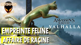 EMPREINTE FELINE PAS DE CHAT amp UNE AFFAIRE DE RACINE DUNE MONTAGNE  ASSASSINS CREED VALHALLA [upl. by Amaryl]