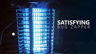 Bug Zapper Owning Bugs Like a Boss  GOOTOP Bug Zapper [upl. by Jeanie]