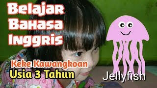 Belajar Kosakata Bahasa Inggris Untuk Anak 3 Tahun [upl. by Phaih]