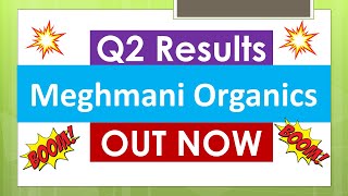 MEGHMANI ORGANICS Q2 results 2024  MOL results today  MEGHMANI ORGANICS Share News  MOL Share [upl. by Nireves]