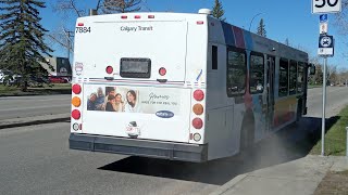 Calgary Transit 2004 New Flyer D40LF 7884 on Route 304 Max Yellow Woodpark [upl. by Ilujna]