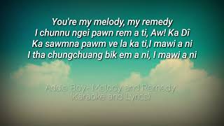 Addie Boy  Melody and Remedy Lyrics VideoUn  Official [upl. by Arorua]