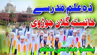 Pashto Madrasai best nazam 2024 Da ilam madrassy Khysta golan jorawe  مدرسی نظم پشتو [upl. by Nossyla]