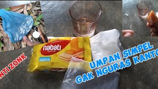 RACIKAN UMPAN GACOR ANTI ZONKBUAT IKAN WADER SIMPEL TIDAK NGURAS KANTONG [upl. by Enelrae627]