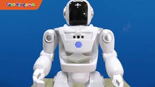 Silverlit Remote Control Robot Pintar ProgramABot [upl. by Hervey]