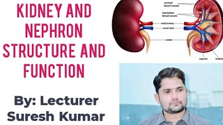 Kidney Nephron structure and function HindiUrdu By Sir Suresh Kumar [upl. by Pals]