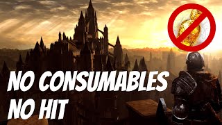 Dark Souls No Consumables No Hit Run in 11757 IGT [upl. by Freud980]