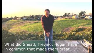 Snead Hogan Trevino [upl. by Refiffej]