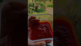 Home made tomato sauce 😋😋tomato ടൊമാറ്റോസ്sjcheonicles [upl. by Adnaw]