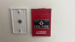 Cerberus Pyrotronics FM950B Pull Station Fire Alarm Test [upl. by Latsyc]