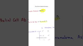 Vasculitis Classification tcml [upl. by Asiel]